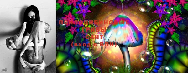 стаф Гусиноозёрск
